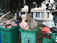 IMG_1882.jpeg