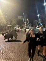 IMG_1886.jpeg