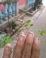 IMG_1889.jpeg