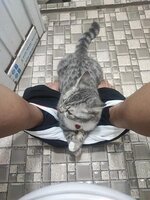 IMG_1891.jpeg