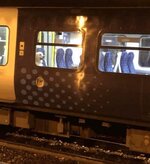 IMG_1894.jpeg