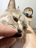 IMG_1524.jpeg