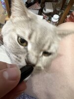 IMG_1522.jpeg