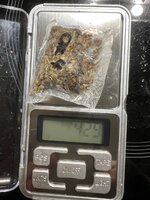 IMG_1619.jpeg
