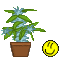 virastil.gif virastil.gif