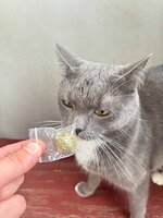 IMG_0197.jpeg