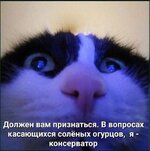 IMG_20250614_160516_300.jpg