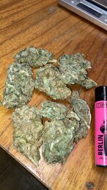 IMG_5514.jpeg