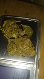 IMG_20250531_195821.jpg