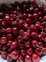 IMG_5467.jpeg