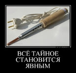 IMG_2924.jpeg