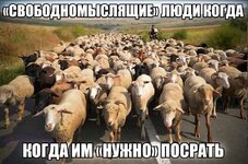 IMG_20250615_160556_893.jpg