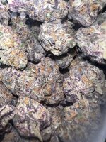 IMG_8567.jpeg