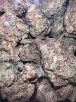 IMG_8566.jpeg