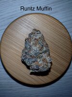 IMG_8500.jpeg