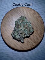 IMG_8462.jpeg