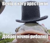 IMG_2935.jpeg