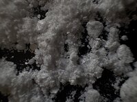 IMG_1300.jpeg