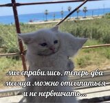 1000001109.jpg