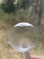 IMG_3305.jpeg IMG_3305.jpeg