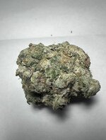 IMG_4216.jpeg