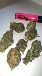 IMG_5542.jpeg