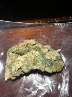 IMG_2091.jpeg