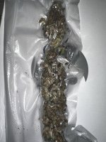 IMG_2092.jpeg