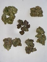 IMG_6528.jpeg