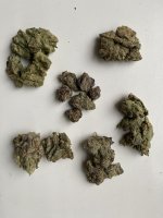 IMG_6527.jpeg