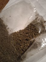 IMG_8835.jpeg