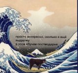 17501068651521.jpg