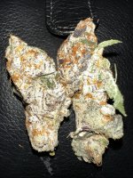 IMG_2111.jpeg