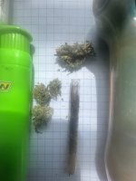IMG_1996.jpeg