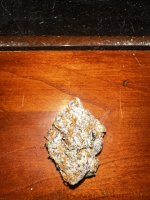 IMG_2130.jpeg
