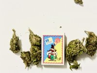 IMG_0435.jpeg