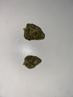 IMG_6549.jpeg