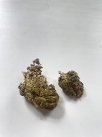 IMG_8527.jpeg