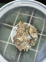 IMG_2139.jpeg