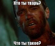 IMG_2997.jpeg