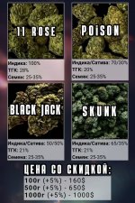 IMG_7187.jpeg