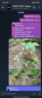 Screenshot_2025-06-22-18-25-17-022_org.telegram.messenger.jpg