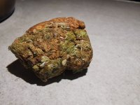 IMG_20250618_220629.jpg