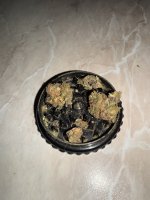 IMG_3961.jpeg