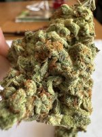 IMG_0134.jpeg