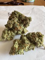 IMG_0128.jpeg