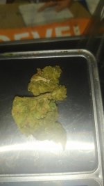 IMG_20250622_113229.jpg