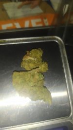 IMG_20250622_113234.jpg