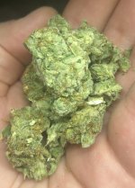 IMG_5984.jpeg