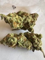 IMG_0123.jpeg